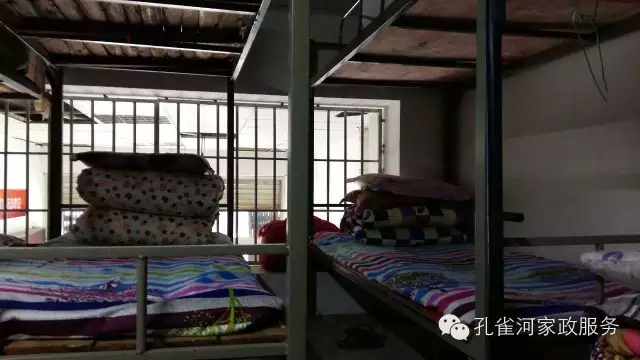 ��ȸ�Ӽ�����ķ������ů��ů�����ģ�