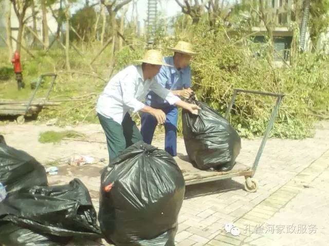 ��������y���������