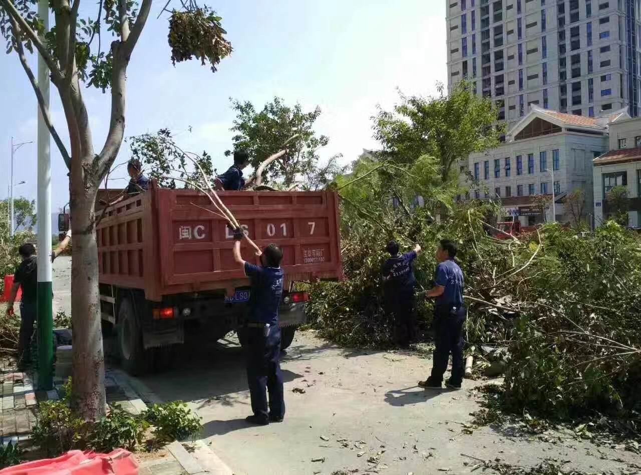 �B�T������˾������(z��i)���ؽ��x�����(d��ng)