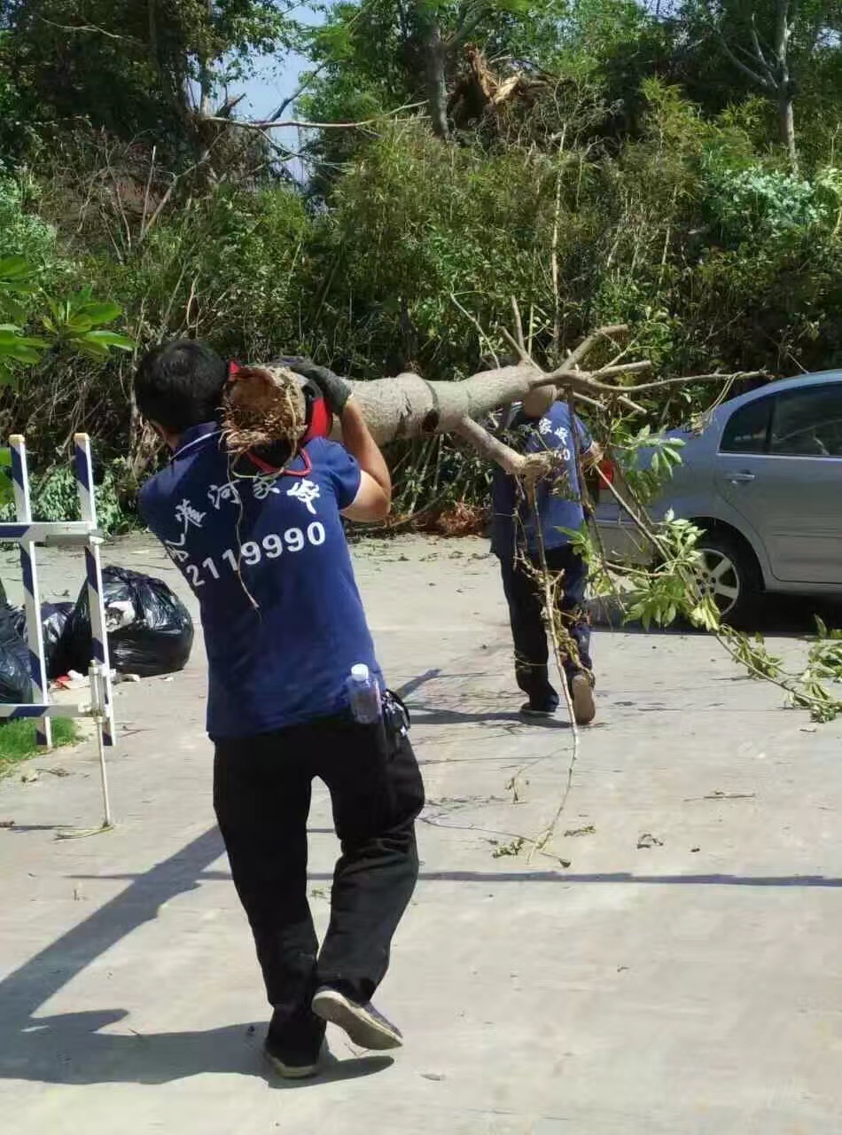 �B�T������˾������(z��i)���ؽ��x�����(d��ng)