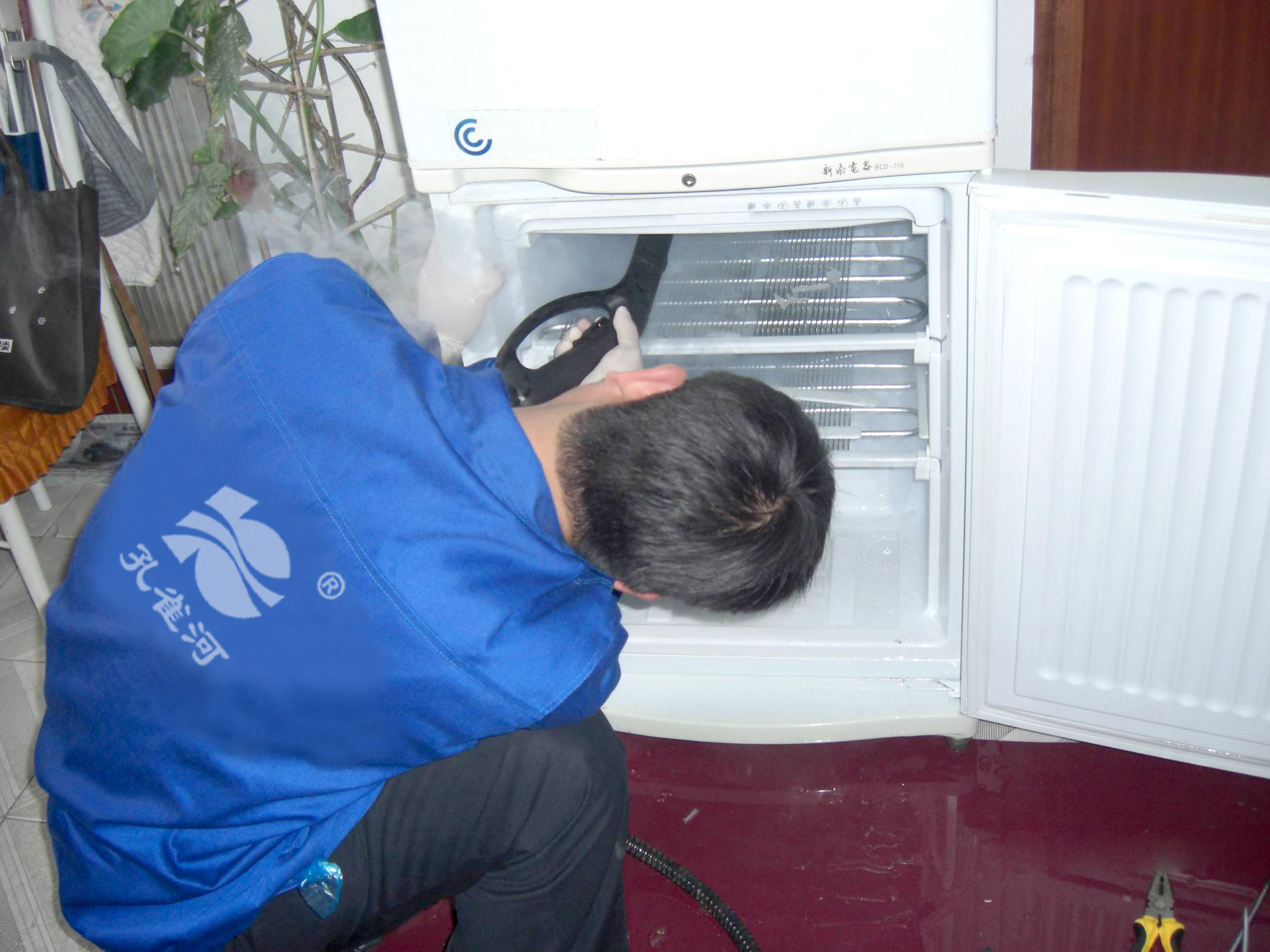 �ゃ�ȵ��pʮ����Ӂ���