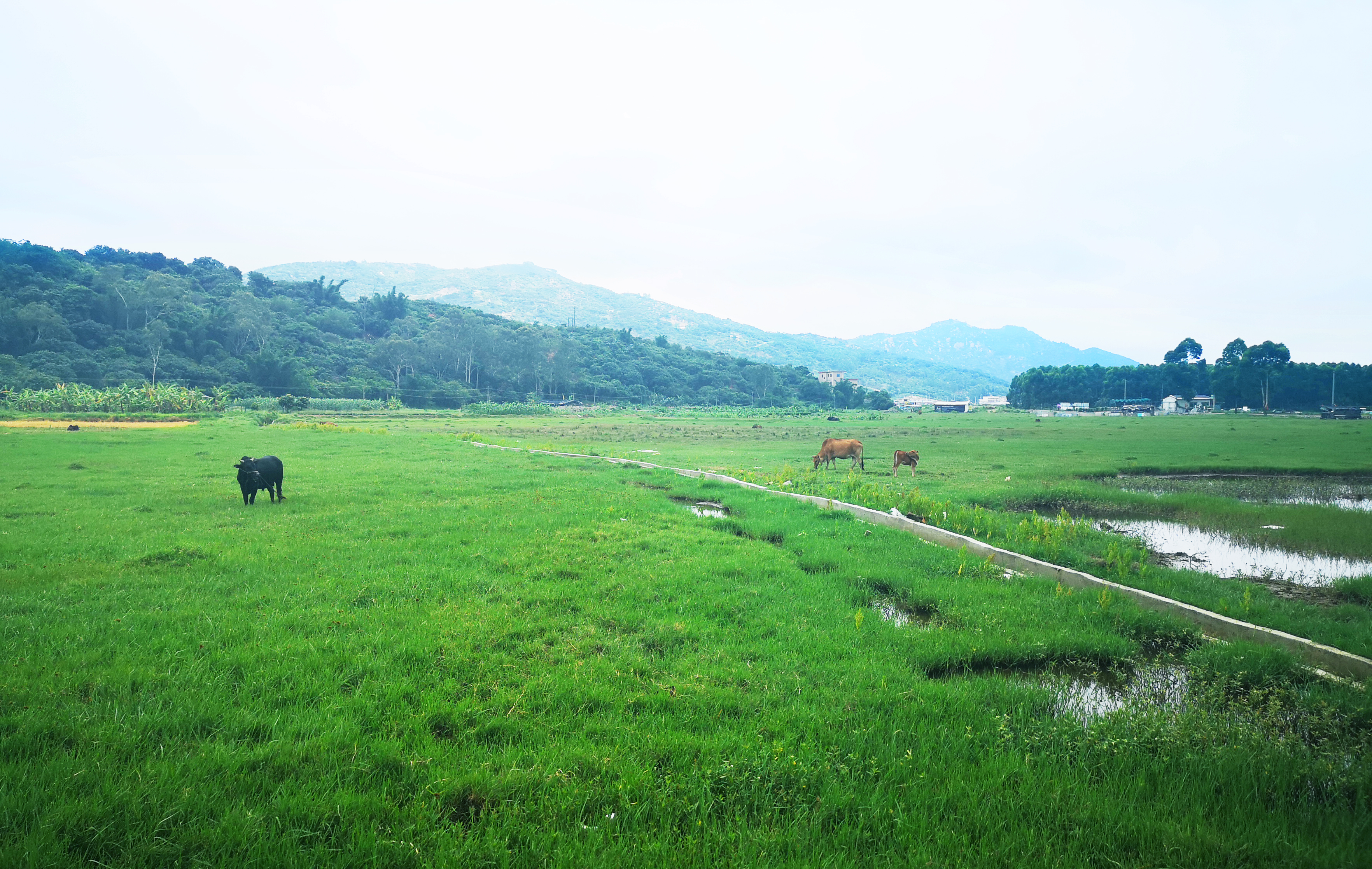 ���؄e��Ϣ���@�ε��ի@�H�S����ȸ���H�ӻ�������Y(ji��)������