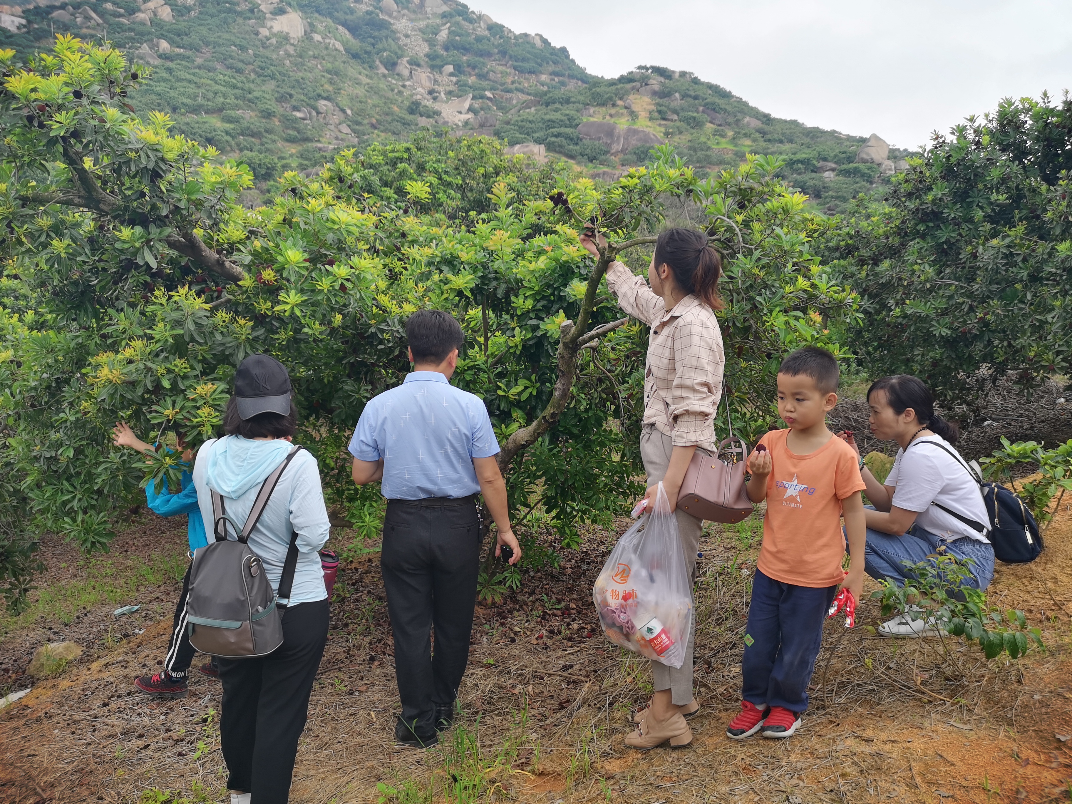 ���؄e��Ϣ���@�ε��ի@�H�S����ȸ���H�ӻ�������Y(ji��)������